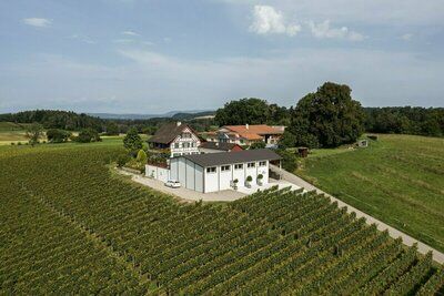 (c) Wiesendanger-weine.ch